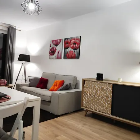 Apartment Strasbourg, Rien Que Pour Vous *
