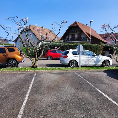 Strasbourg, Rien Que Pour Vous