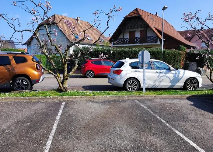 Strasbourg, Rien Que Pour Vous